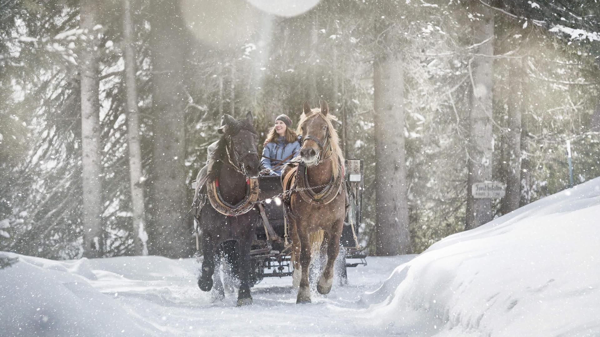 Eine besonders romantische Art, die verschneite Landschaft von Saalbach Hinterglemm zu genießen: die Pferdeschlittenfahrt.